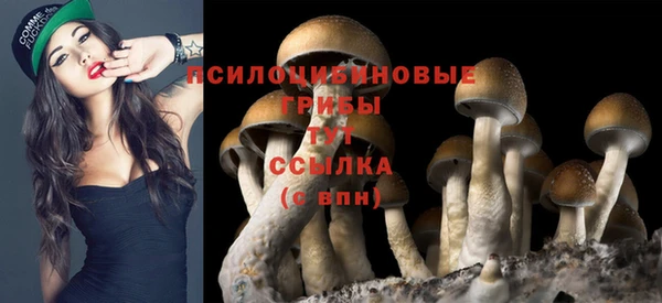 кристаллы Зеленокумск